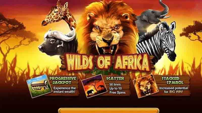 Wild of Africa live22